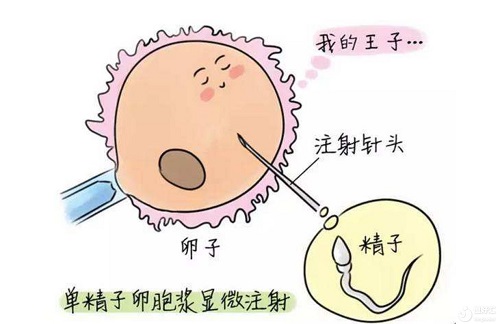 2022年深圳第三代試管嬰兒大概費用是多少？